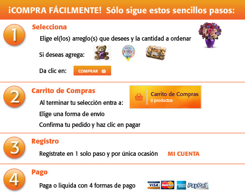 MasFloral - Guia de Compra