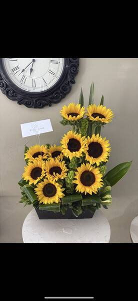 Amarillo 13