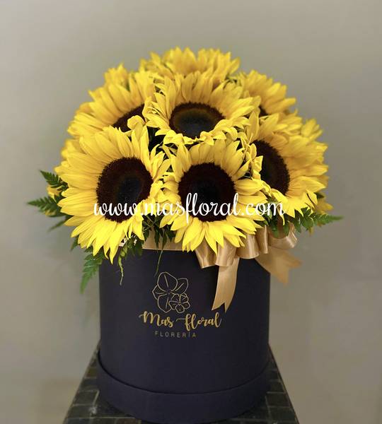 Caja de girasoles