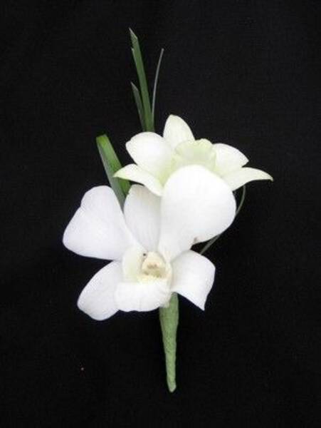 Boutonniere de orquidea